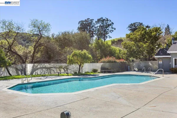 a view of yard with palm trees