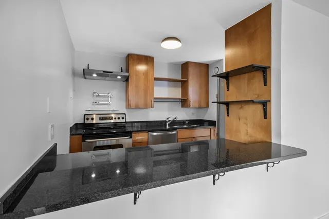 $3,450 | 30 East Huron Street, Unit 3602, Chicago, IL 60611