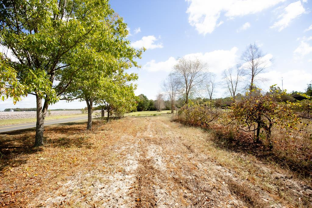 184 Homeplace Road Neeses, SC 29107 - Photo 32 of 39