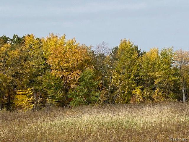 8.26 Acres Lapeer, MI 48446 - Photo 7 of 7
