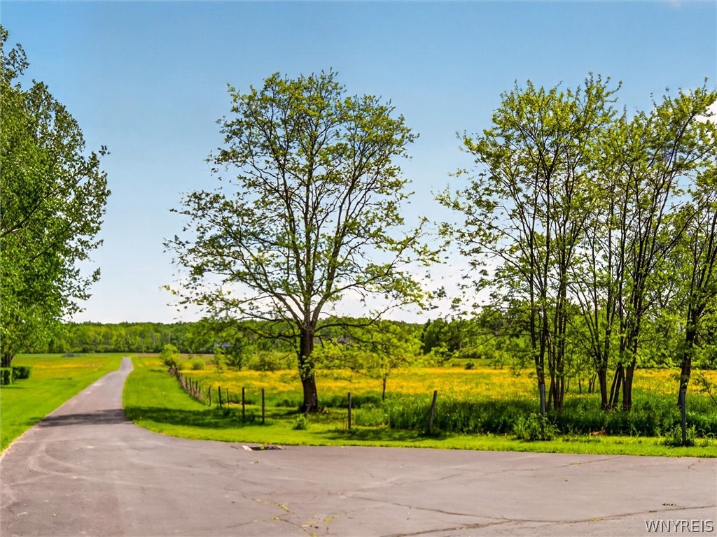 540 Shumway Road Sweden, NY 14420 - Photo 9 of 50
