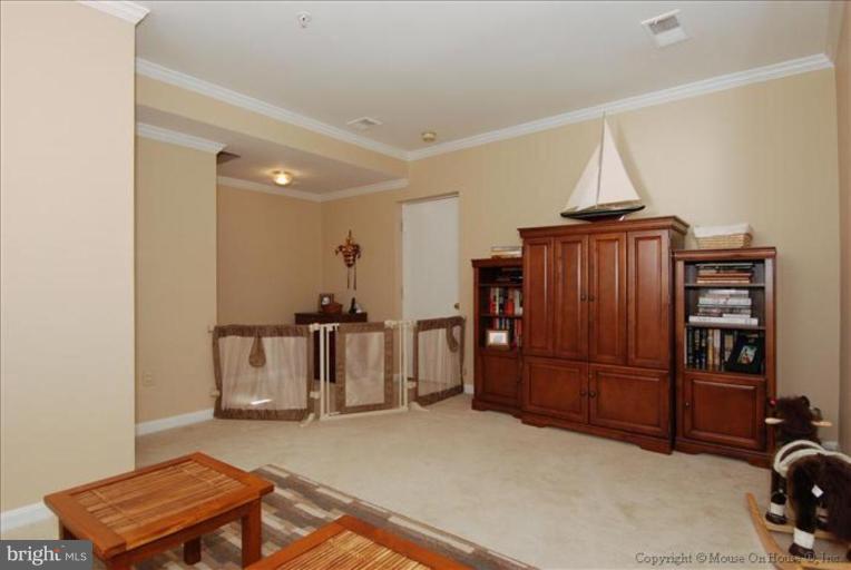 3048 South Glebe Road Arlington, VA 22206 - Photo 22 of 30 Recreation Room #2