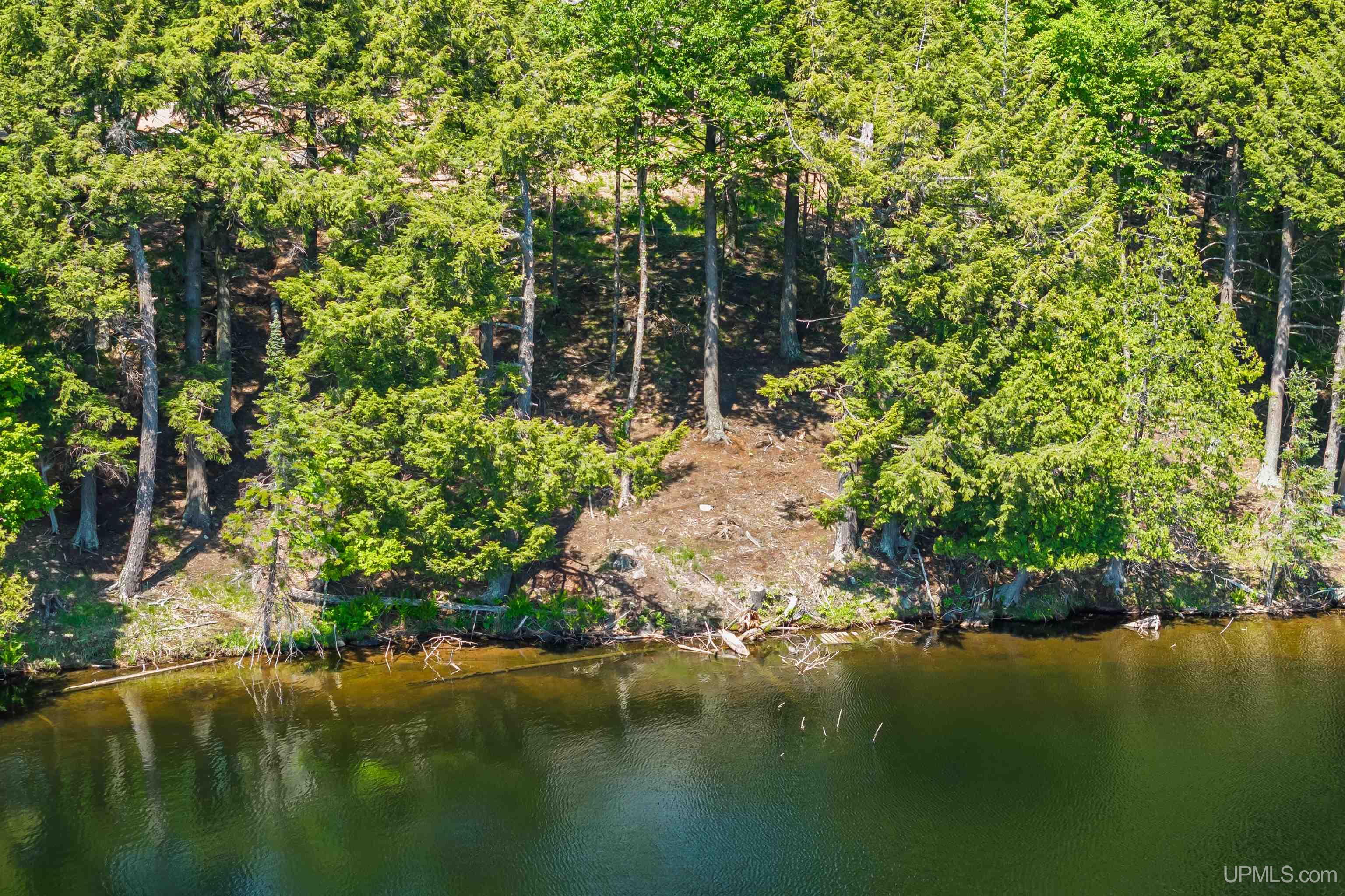 18751 Big Lake Road Watersmeet, MI 49969 - Photo 73 of 75
