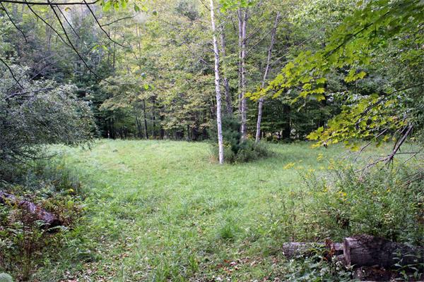 2 Savoy Road Hawley, MA 01339 - Photo 18 of 26 Gallery Image 18