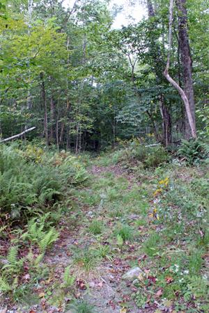 2 Savoy Road Hawley, MA 01339 - Photo 20 of 26 Gallery Image 20