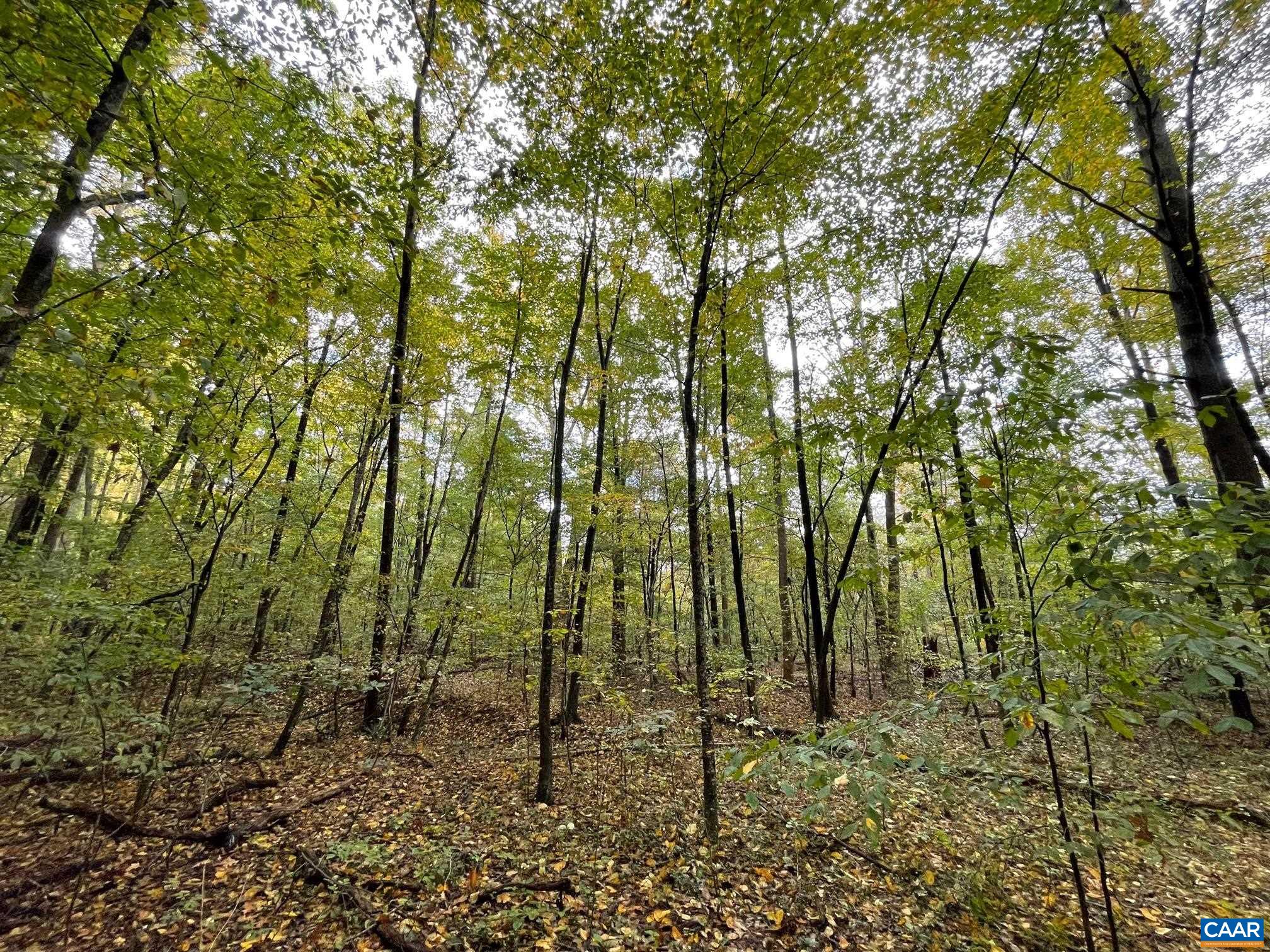 Tbd Middle River Road Stanardsville, VA 22973 - Photo 3 of 7 a view of an outdoor space