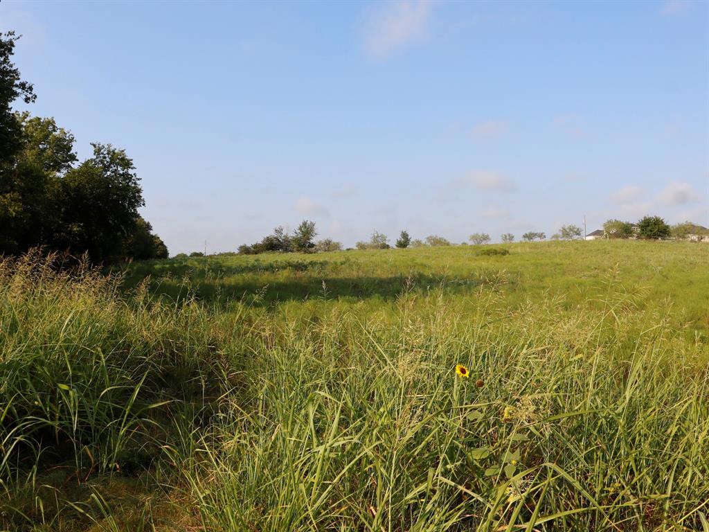 Tbd Lot 2 Tbd Road Ennis, TX 75119 - Photo 8 of 20