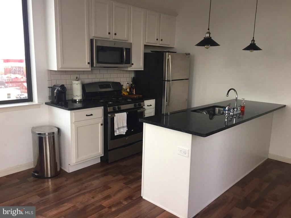 333 Earp Street, Unit 404 Philadelphia, PA 19147 - Photo 11 of 14