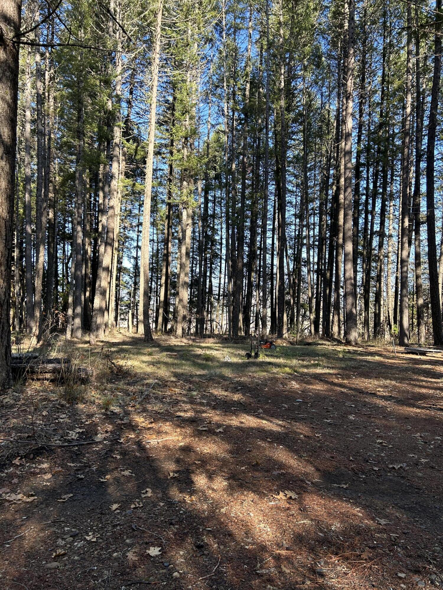 2801 Rockydale Road Cave Junction, OR 97523 - Photo 27 of 31 240E7DEB-334C-430D-ADC6-B557C7E40257