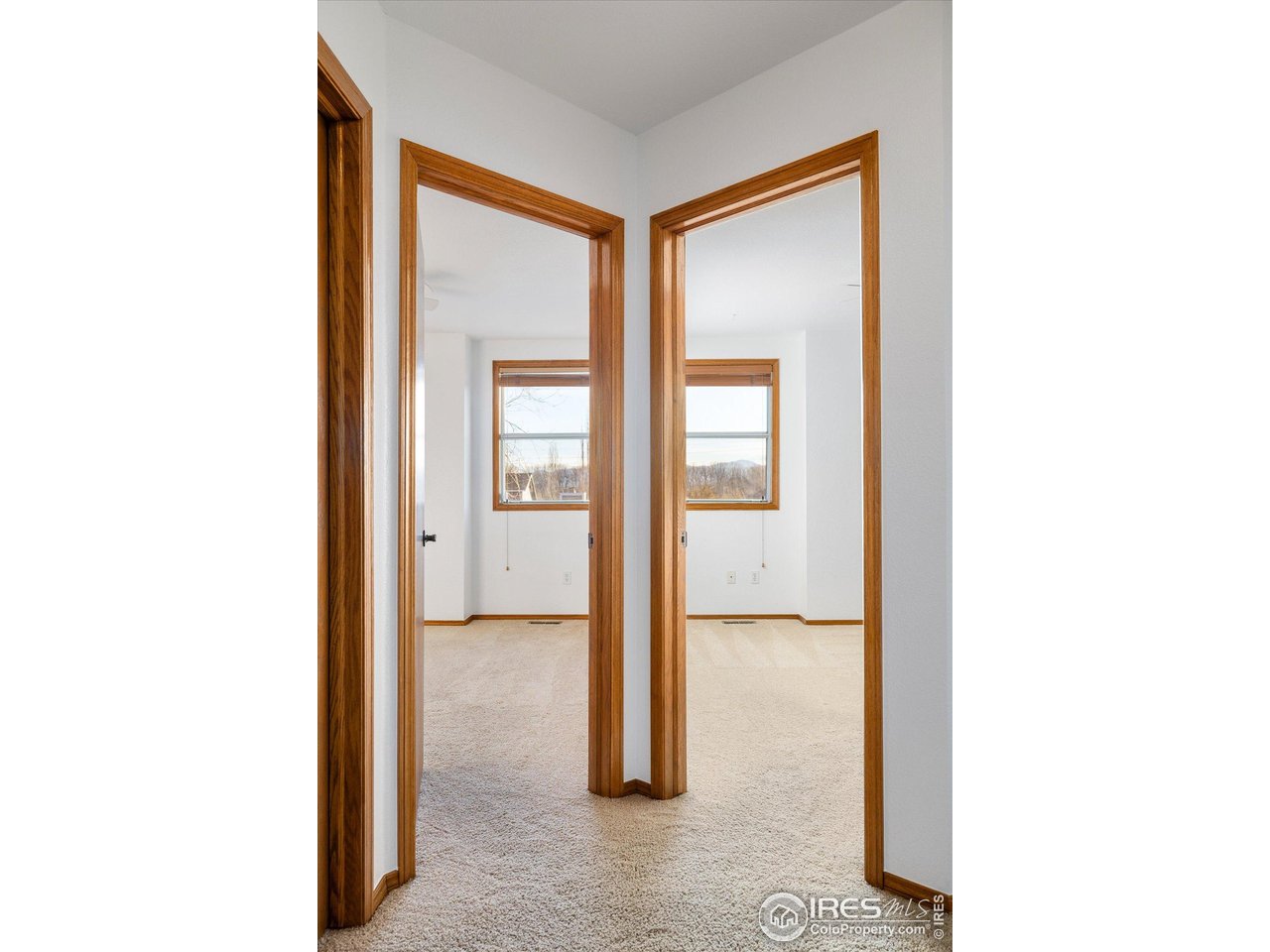 656 Wade Road Longmont, CO 80503 - Photo 26 of 40 Gallery Image 26