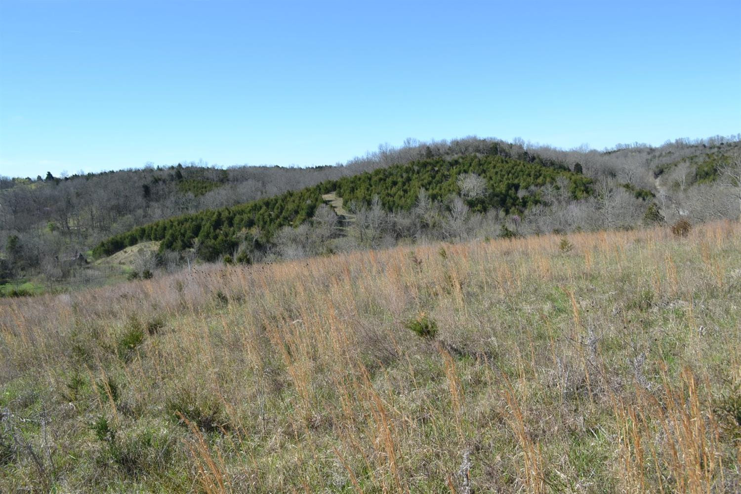 140 Fallis Run Road Harrodsburg, KY 40330 - Photo 21 of 22 Photo 21