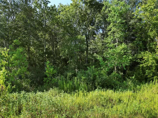 a view of a garden