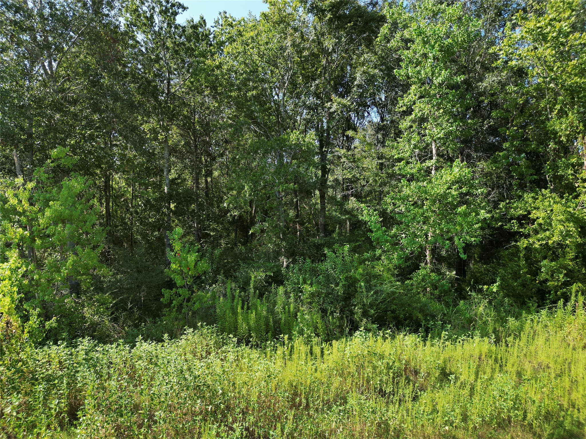 0 Ed Kharbat Drive Conroe, TX 77301 - Photo 8 of 16