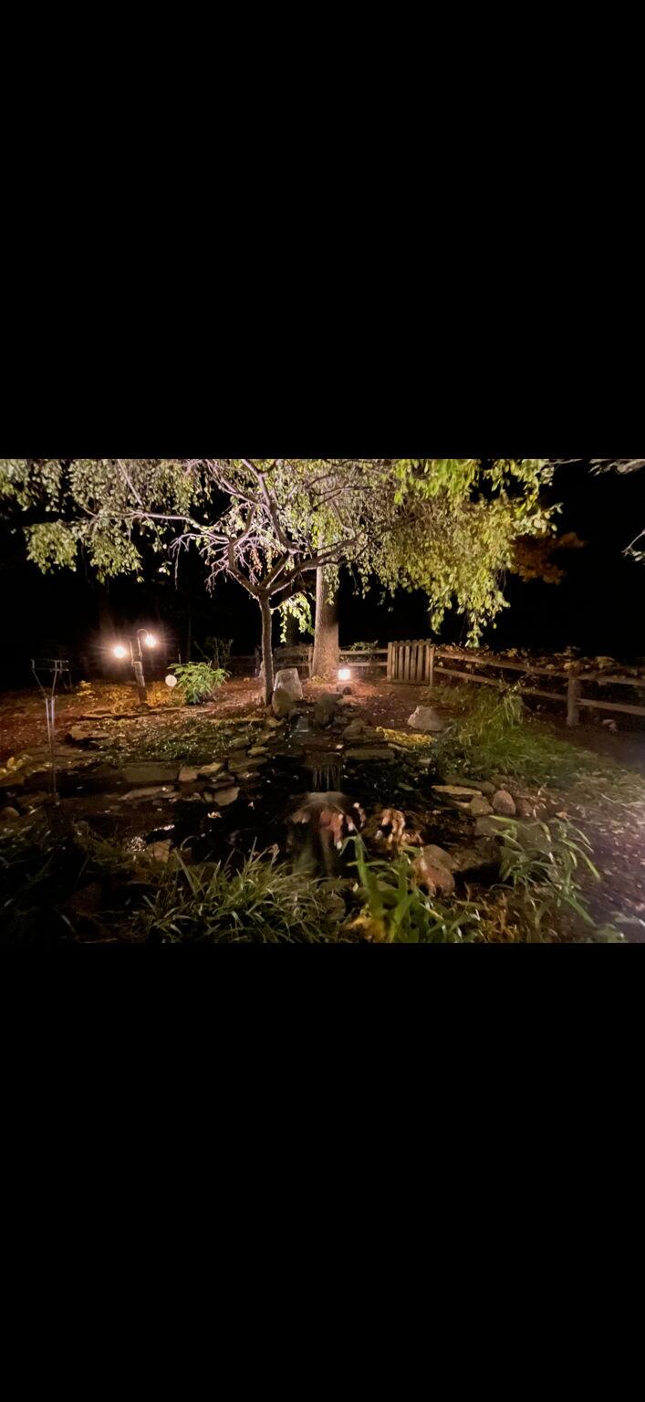 733 South Indiana Avenue Griffith, IN 46319 - Photo 44 of 48 a view of an ocean