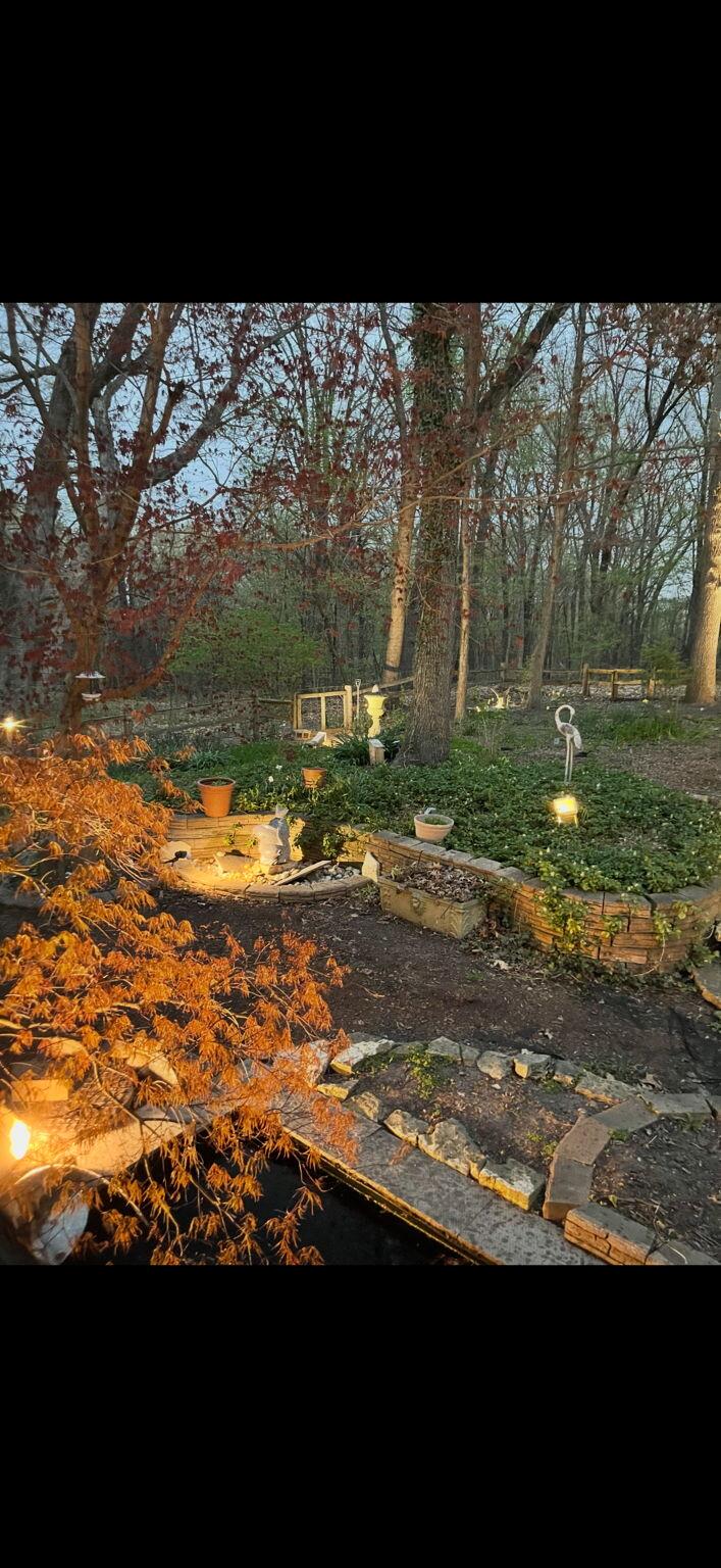 733 South Indiana Avenue Griffith, IN 46319 - Photo 46 of 48 a view of a yard