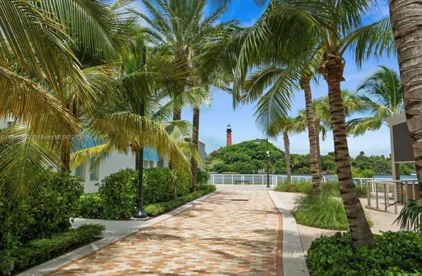 a view of a yard and a palm tree