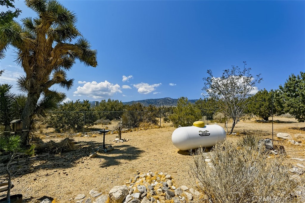 1895 Barkley Ranch Road Pinon Hills, CA 92372 - Photo 25 of 31 a view of a backyard with a table and chairs and potted plants