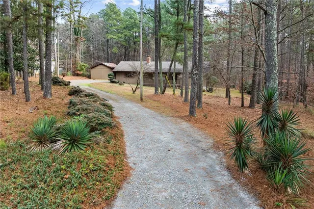a view of a park with benches and trees