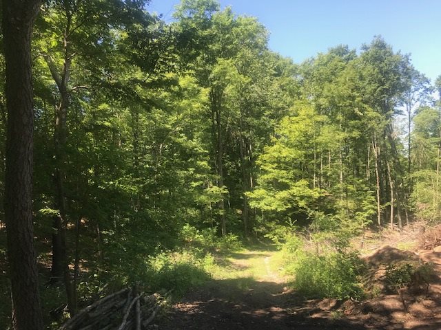 1520 North Haze Road Beulah, MI 49617 - Photo 37 of 46 1849436-36.JPG