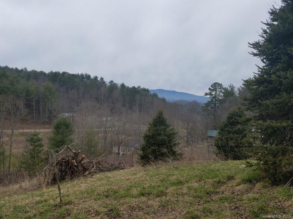 6119 Panther Creek Road Clyde, NC 28721 - Photo 3 of 11 Gallery Image 3