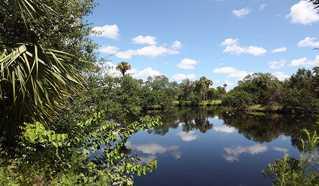 647 Southwest Glen Crest Way Stuart, FL 34997 - Photo 18 of 20 River-view-web