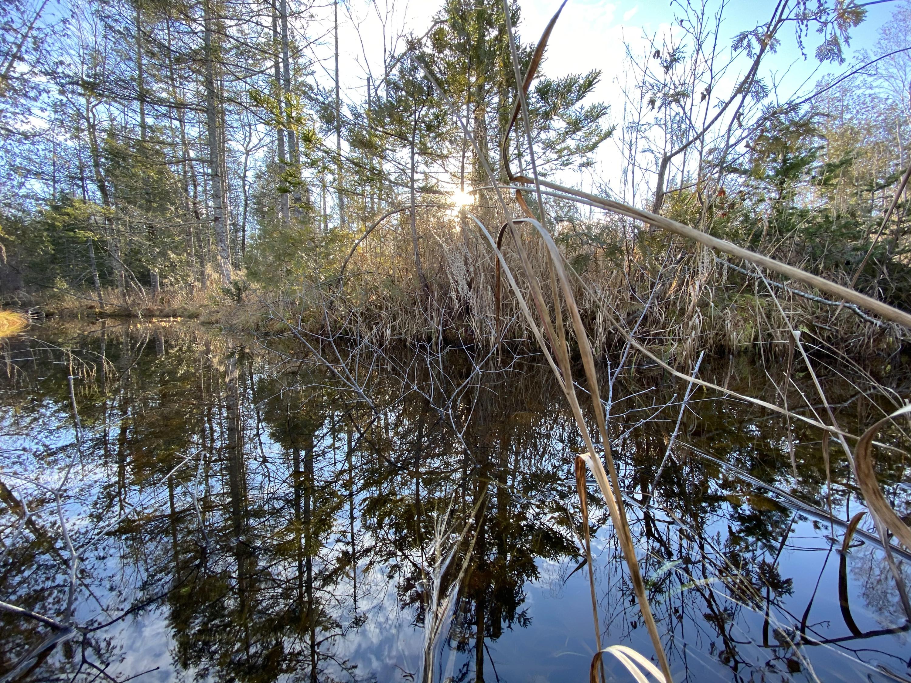 9-011 Pond Road Gouldsboro, ME 04607 - Photo 5 of 14 2020-11-29_13-50-24_181