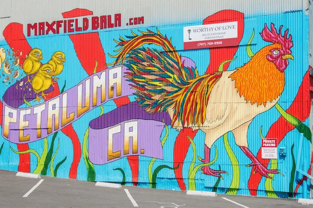 $645,000 | 21 Valen Way, Petaluma, CA 94952