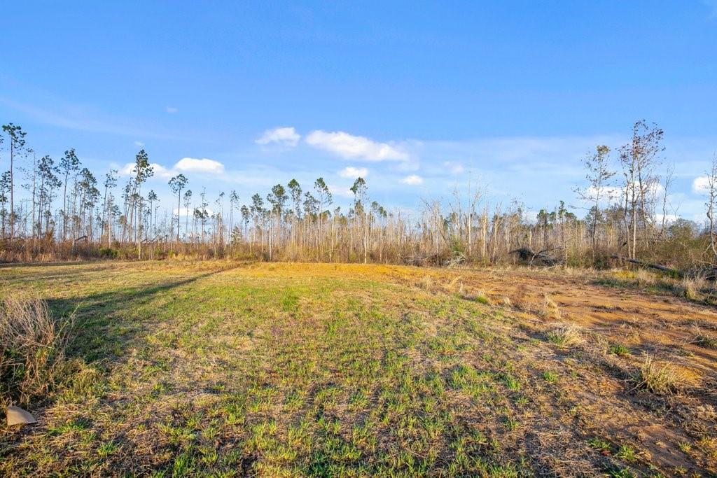 901 Bill Gilbert Road Ragley, LA 70657 - Photo 5 of 6