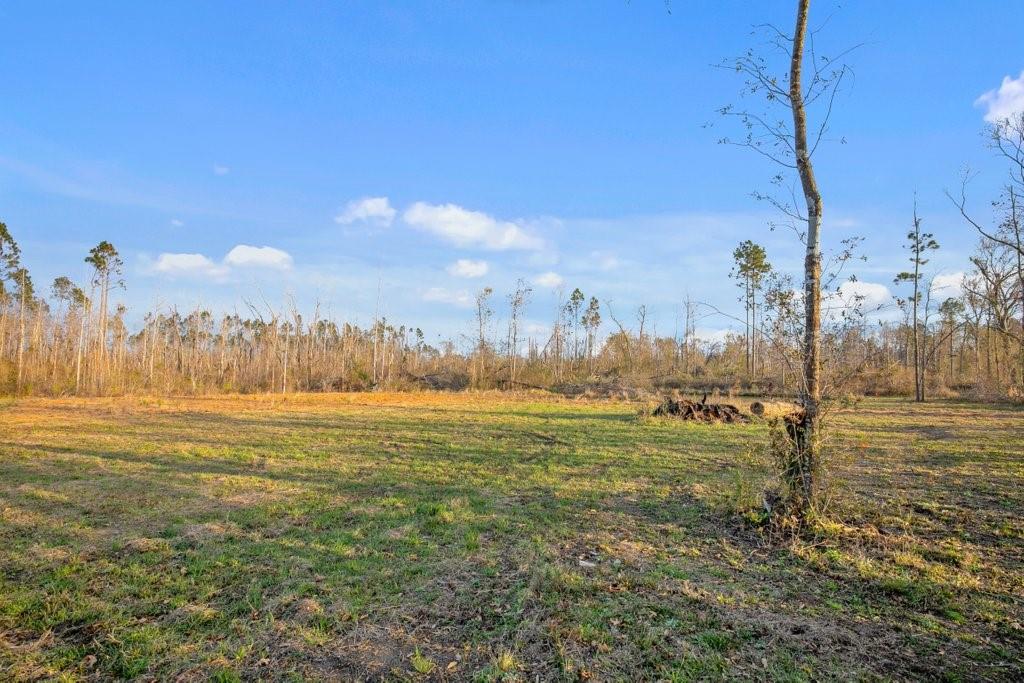 901 Bill Gilbert Road Ragley, LA 70657 - Photo 6 of 6