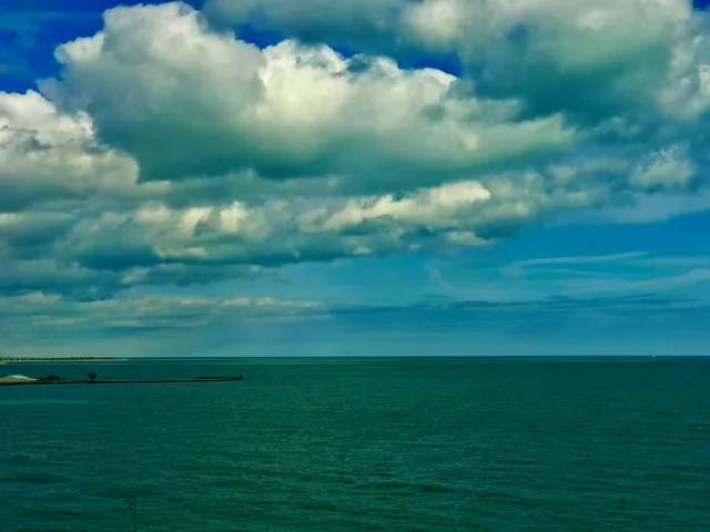 a view of a field with a trees