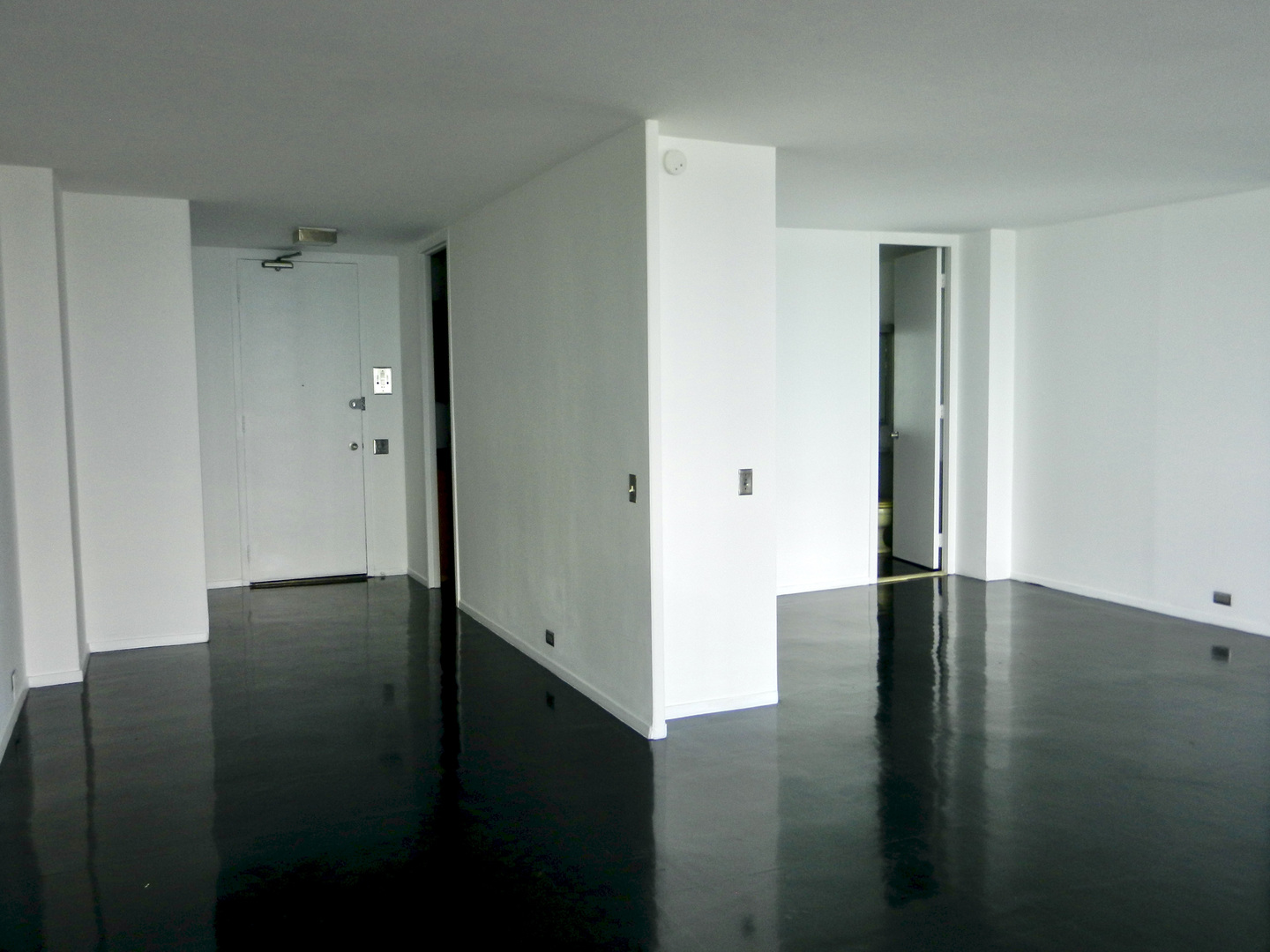 900 North Lake Shore Drive, Unit 1211 Chicago, IL 60611 - Photo 19 of 37 a view of hallway with hardwood floor