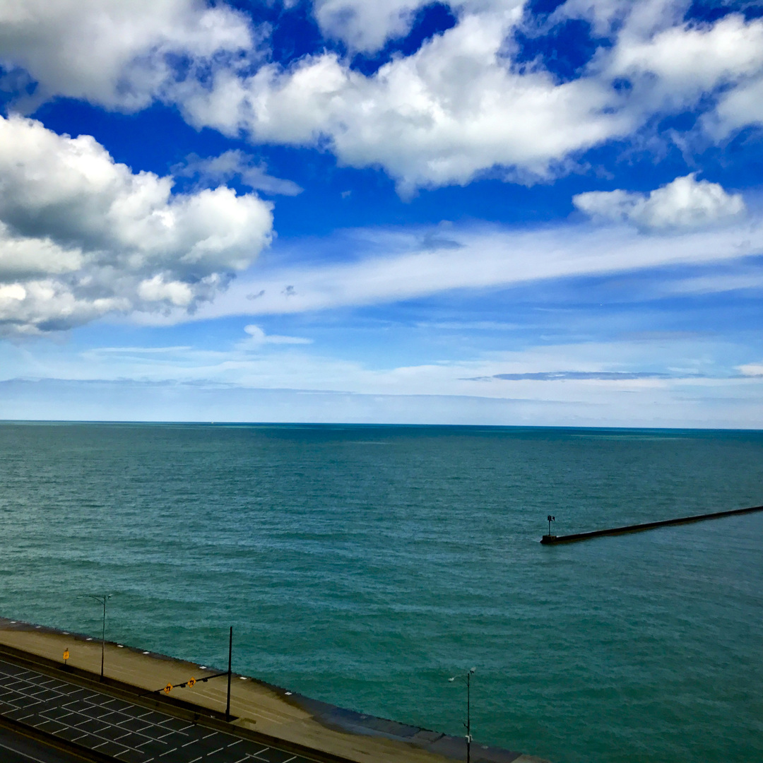 900 North Lake Shore Drive, Unit 1211 Chicago, IL 60611 - Photo 9 of 37 a view of a yard with an empty space and wooden floor