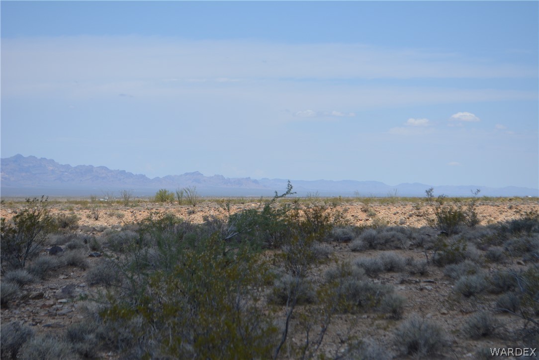 208-24-134 Cameron Road Yucca, AZ 86438 - Photo 19 of 86