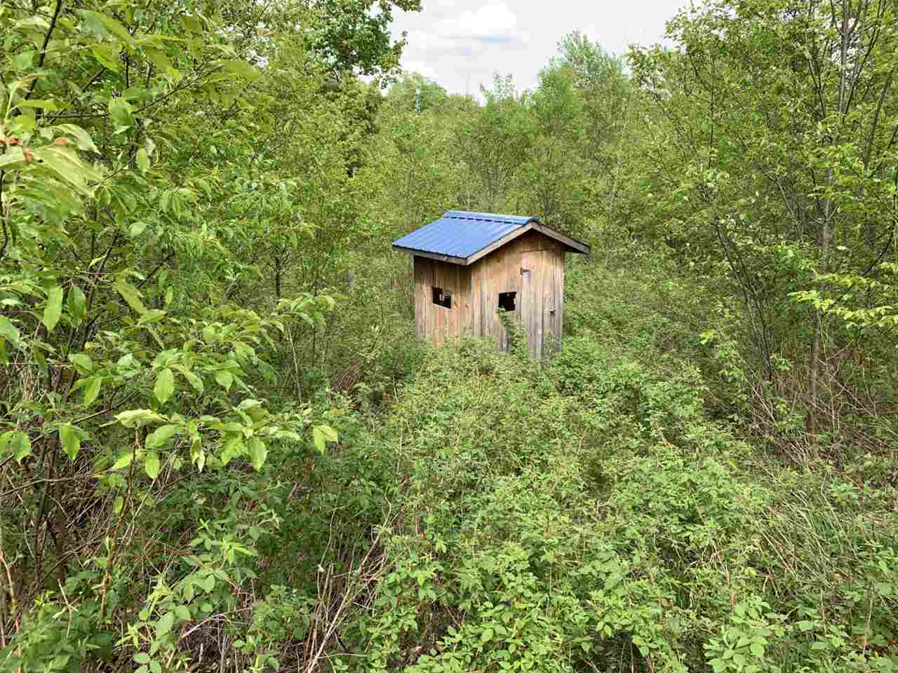 40 South 17 Road Boon, MI 49618 - Photo 6 of 33