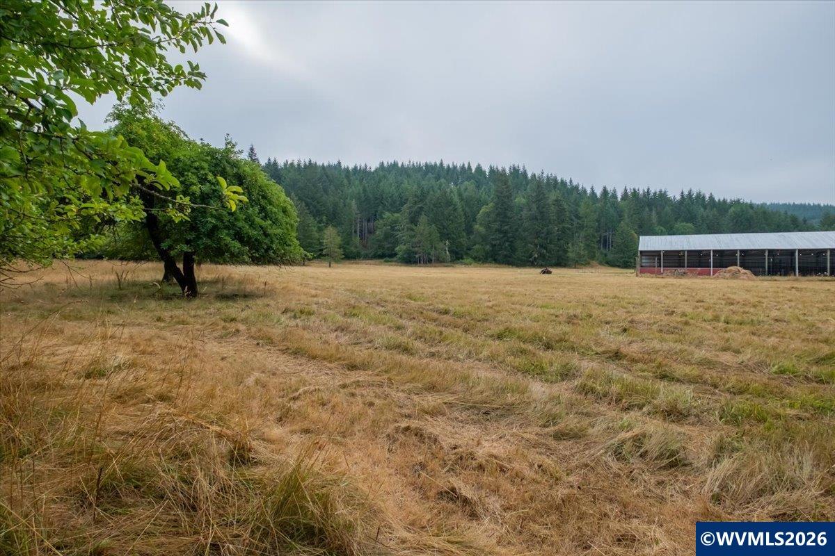 36435 Devitt Road Blodgett, OR 97326 - Photo 42 of 50 Gallery Image 42