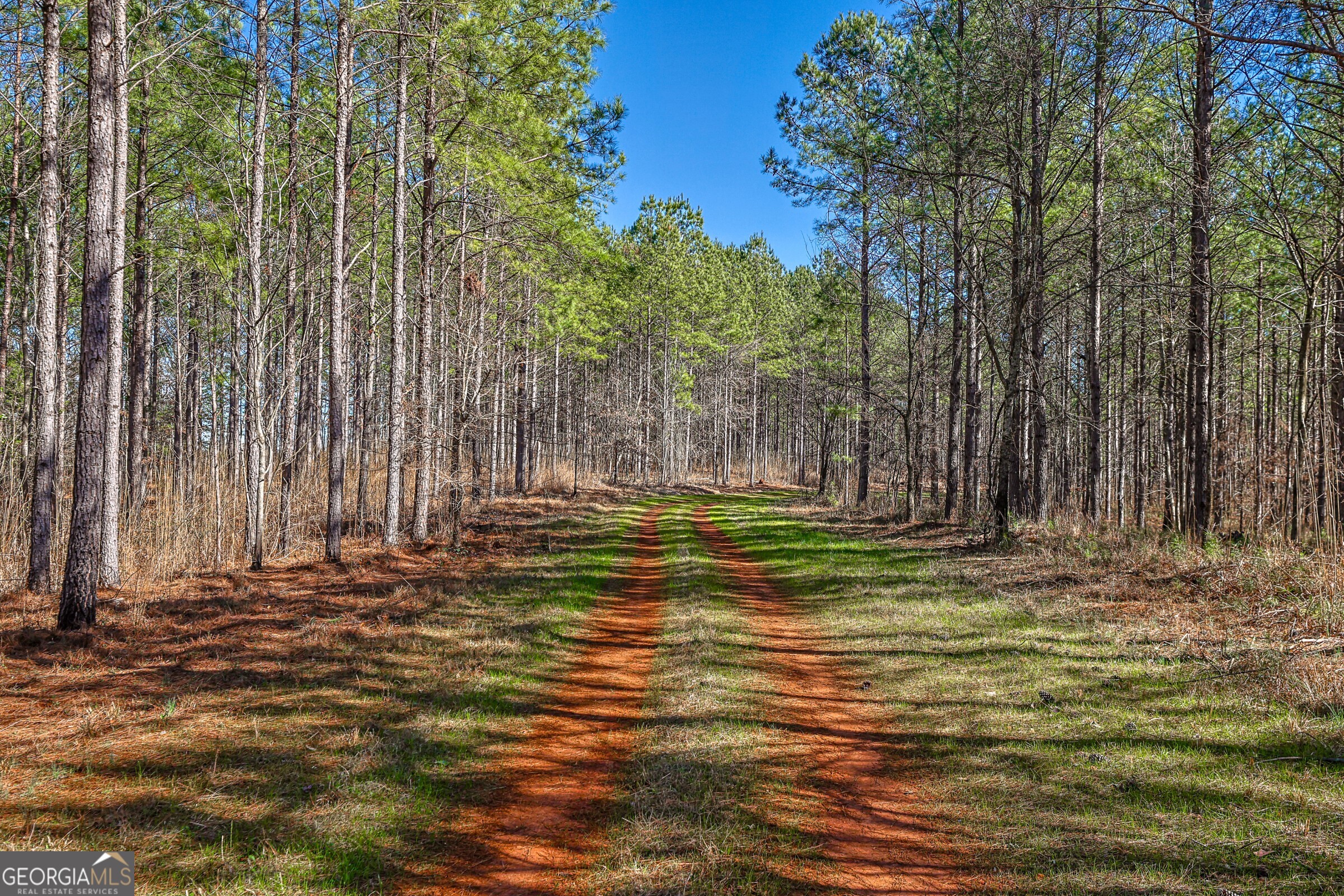0 Old Zebulon Road Forsyth, GA 31029 - Photo 1 of 60 a view of outdoor space with garden