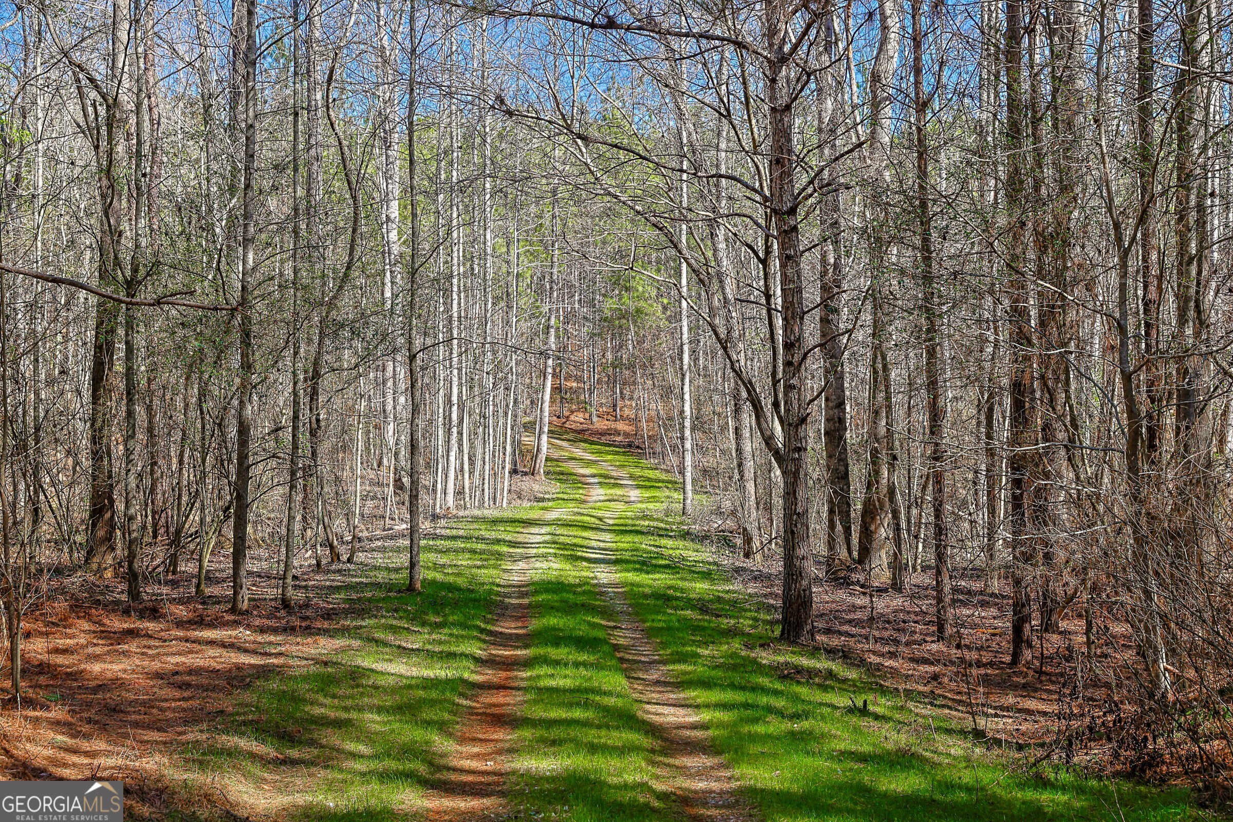 0 Old Zebulon Road Forsyth, GA 31029 - Photo 15 of 60