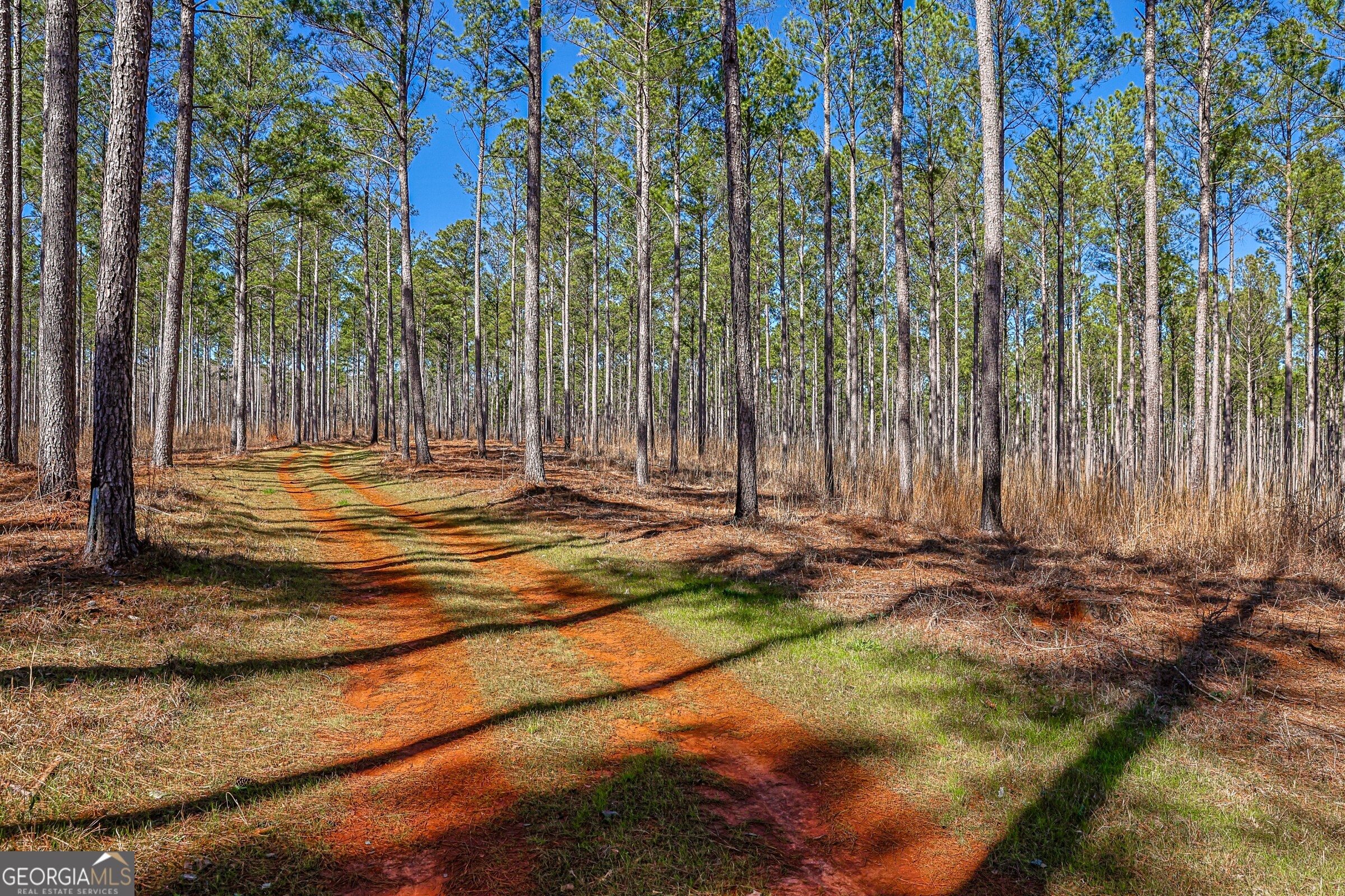 0 Old Zebulon Road Forsyth, GA 31029 - Photo 16 of 60 a row of trees with yard