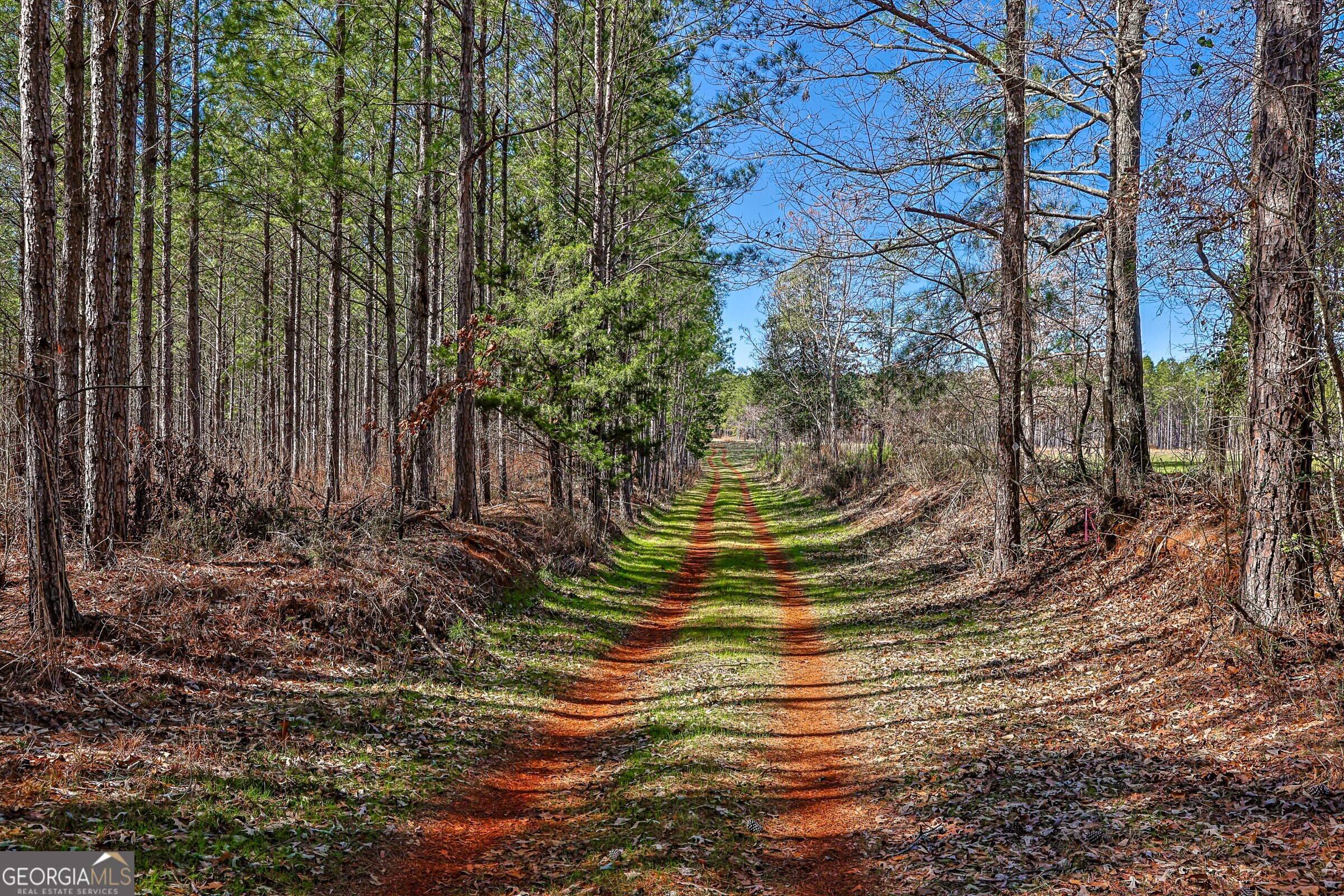 0 Old Zebulon Road Forsyth, GA 31029 - Photo 17 of 60 a view of a yard with an tree