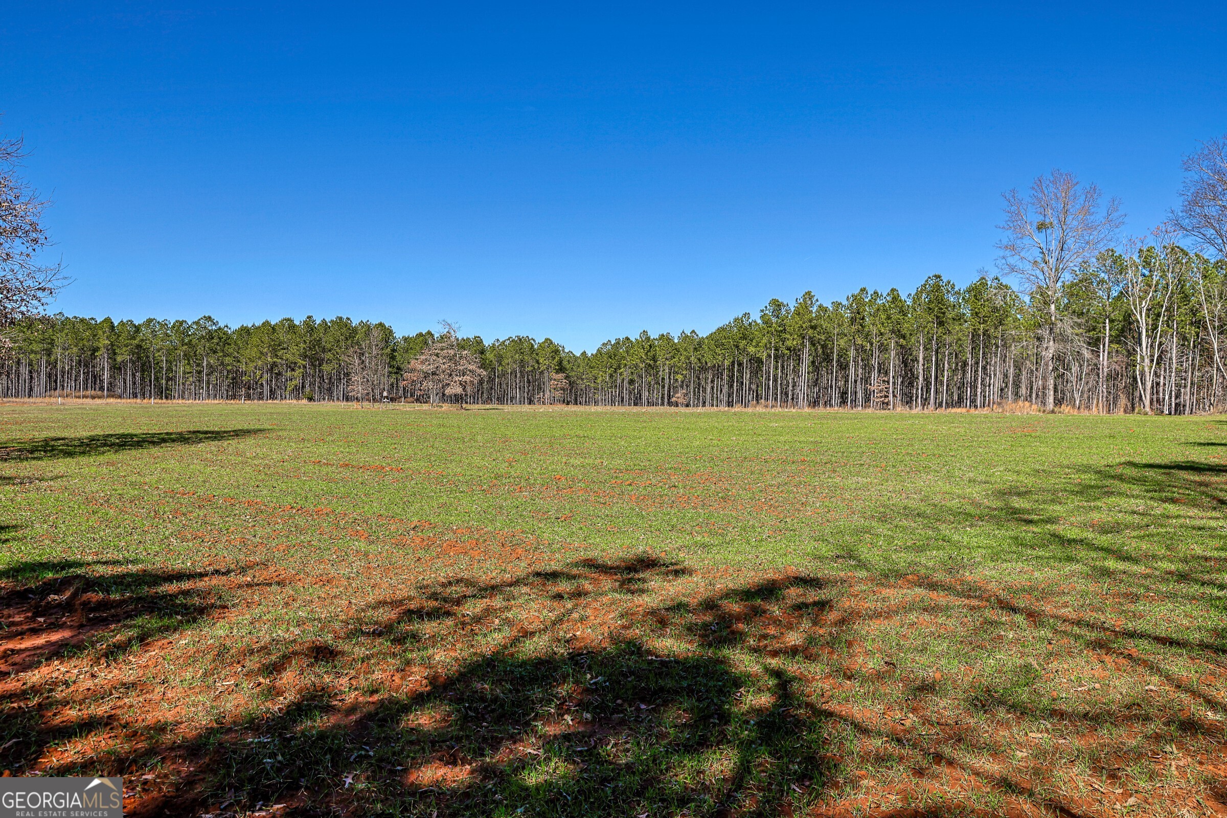 0 Old Zebulon Road Forsyth, GA 31029 - Photo 18 of 60 a view of a field with an ocean