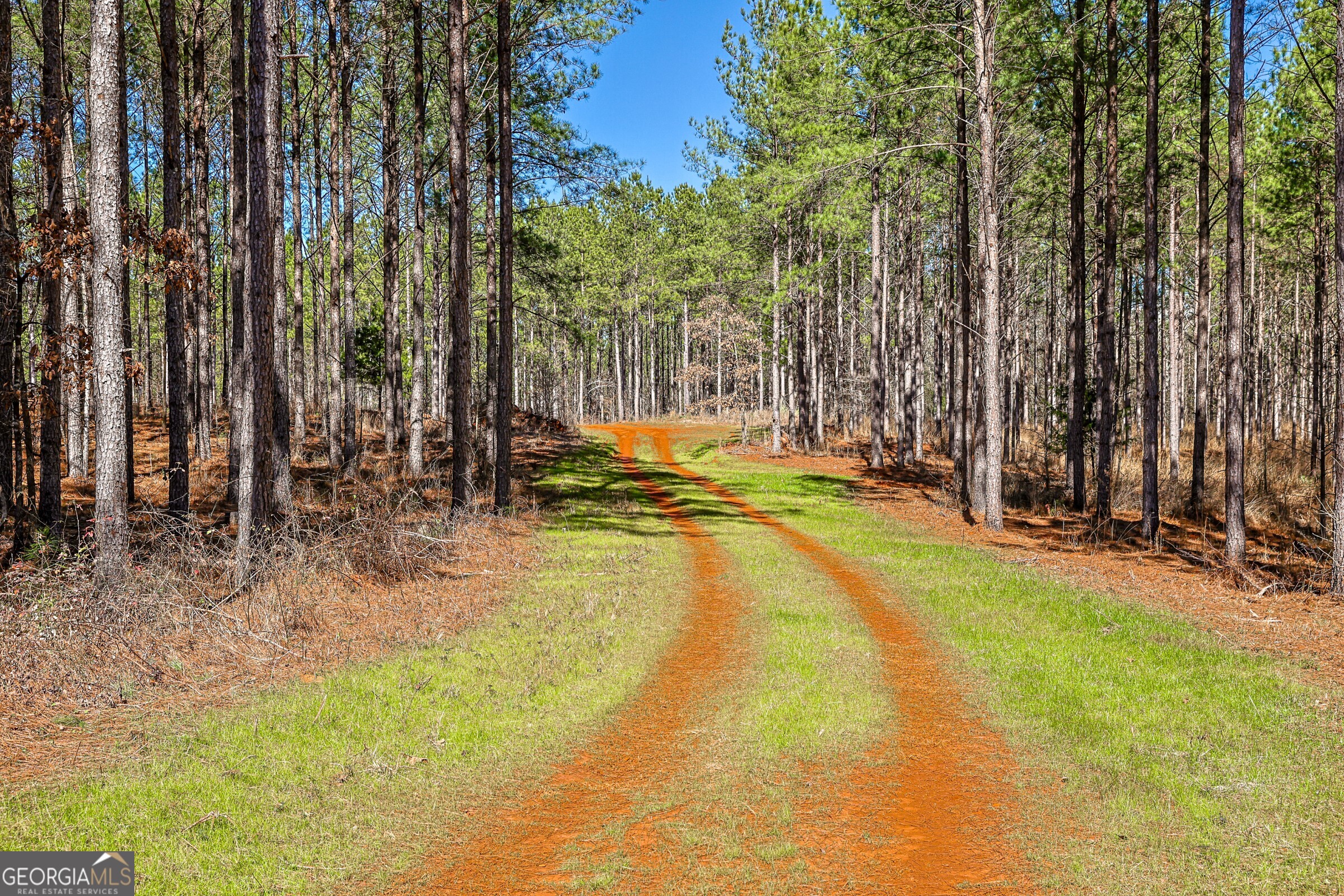 0 Old Zebulon Road Forsyth, GA 31029 - Photo 19 of 60 a view of a backyard with swimming pool and sitting area