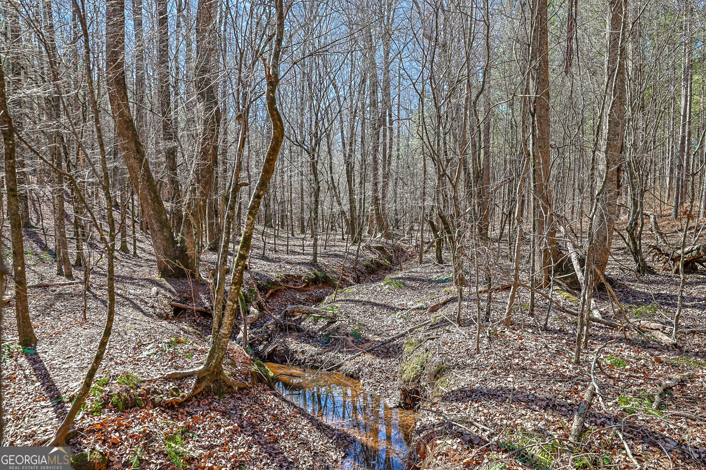 0 Old Zebulon Road Forsyth, GA 31029 - Photo 20 of 60