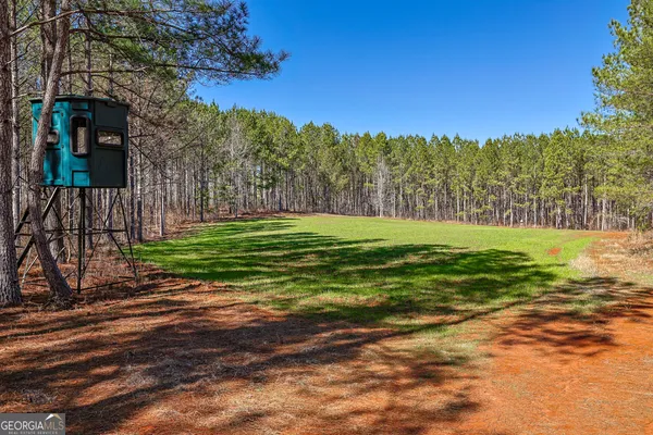 a view of a golf course with a trees