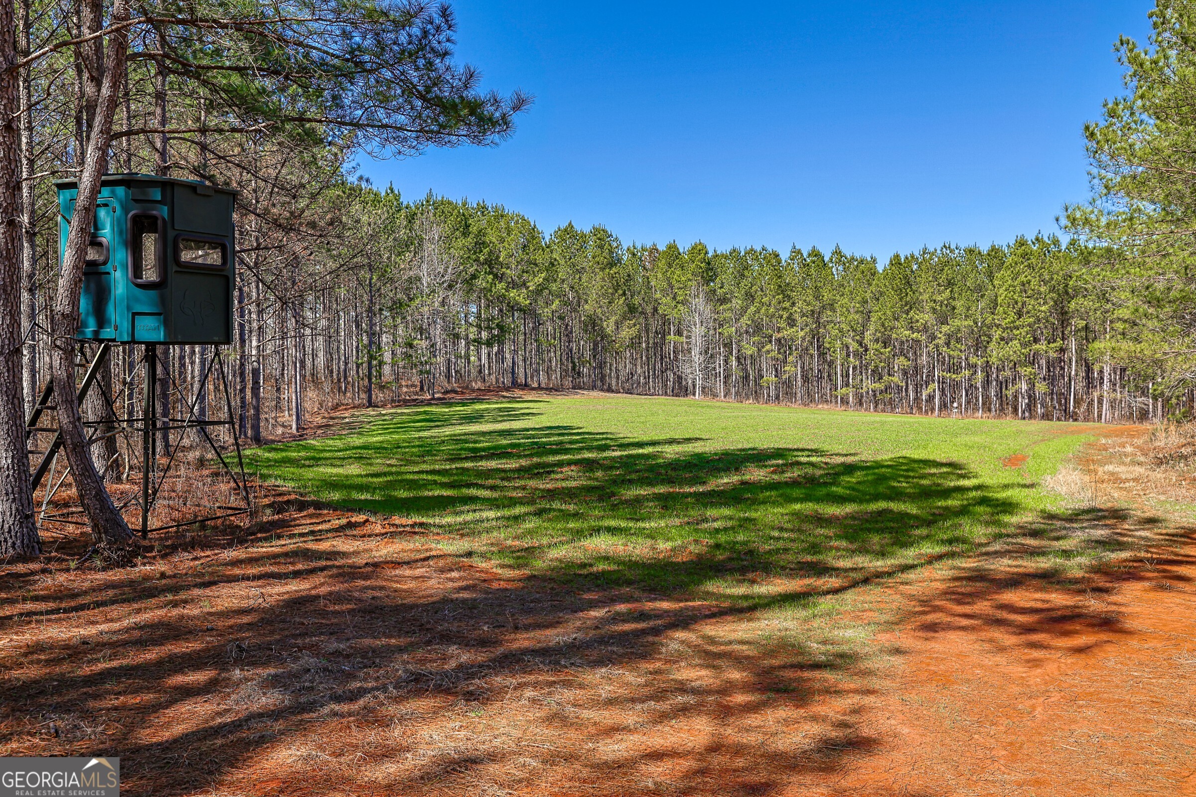 0 Old Zebulon Road Forsyth, GA 31029 - Photo 2 of 60 a view of a golf course with a trees