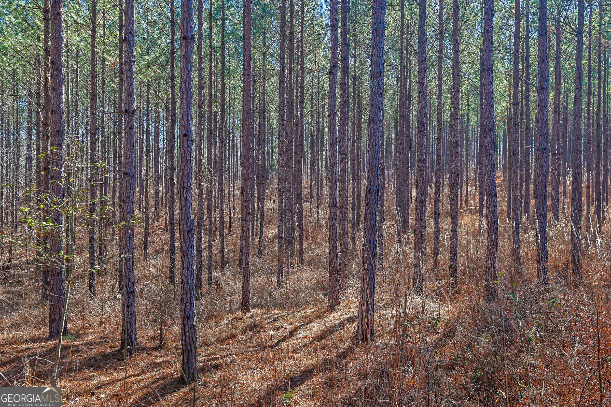 0 Old Zebulon Road Forsyth, GA 31029 - Photo 21 of 60 a view of a backyard with trees
