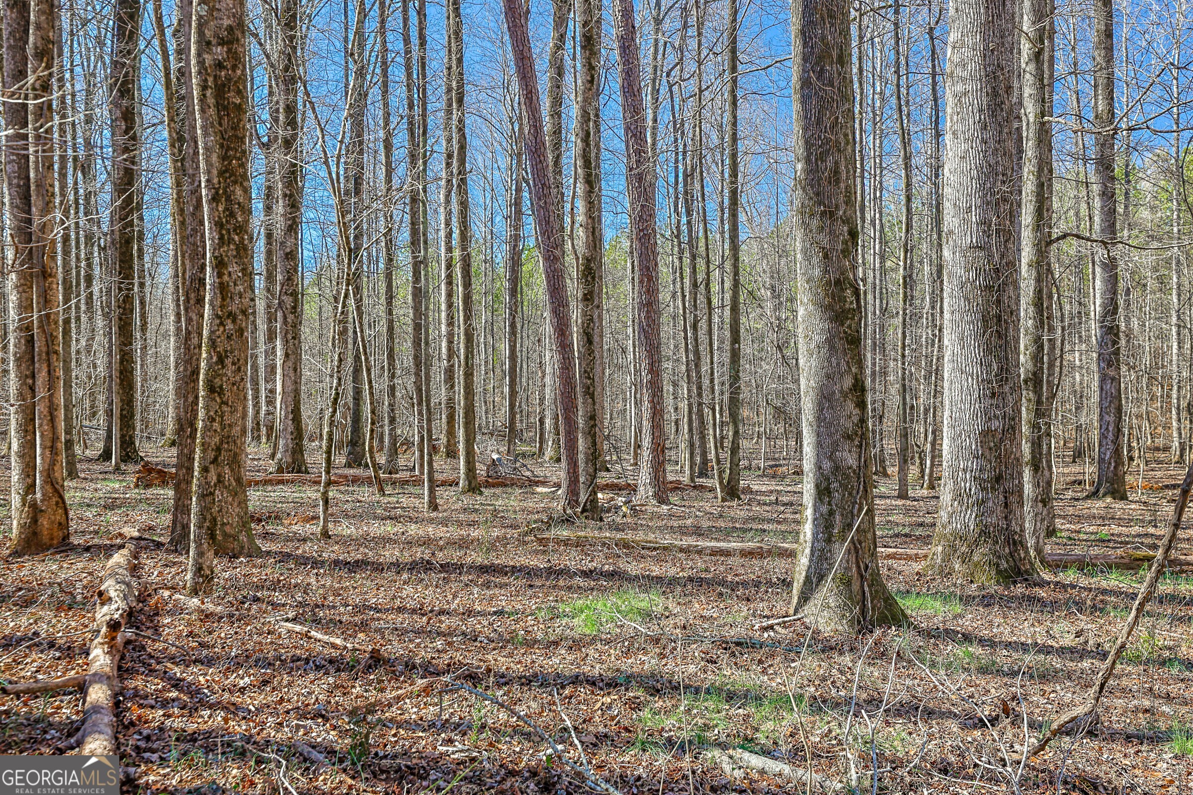 0 Old Zebulon Road Forsyth, GA 31029 - Photo 23 of 60 a view of wooden fence