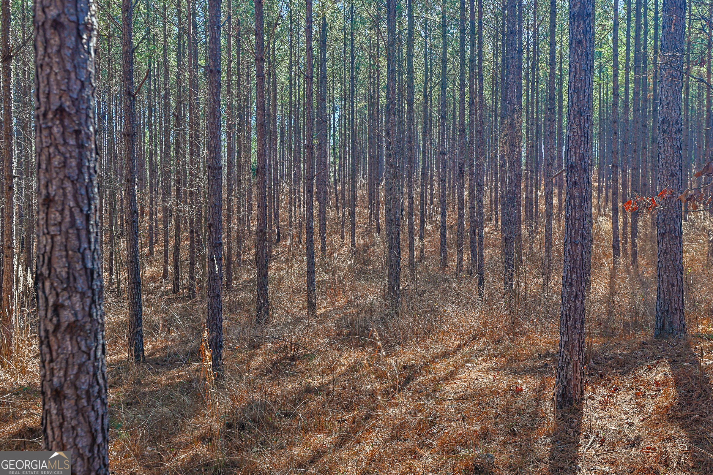 0 Old Zebulon Road Forsyth, GA 31029 - Photo 25 of 60