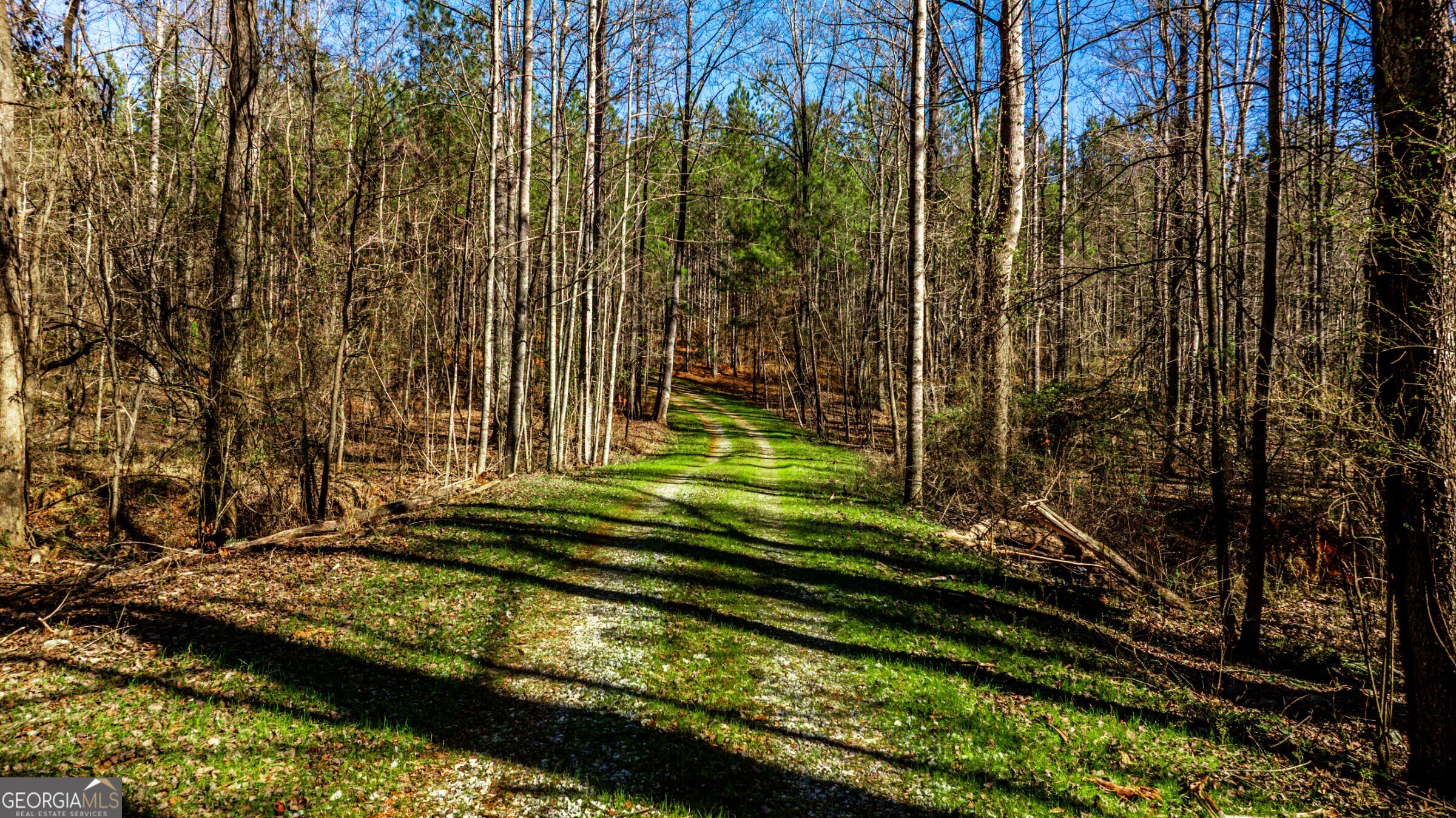 0 Old Zebulon Road Forsyth, GA 31029 - Photo 26 of 60 a view of a garden with a bench