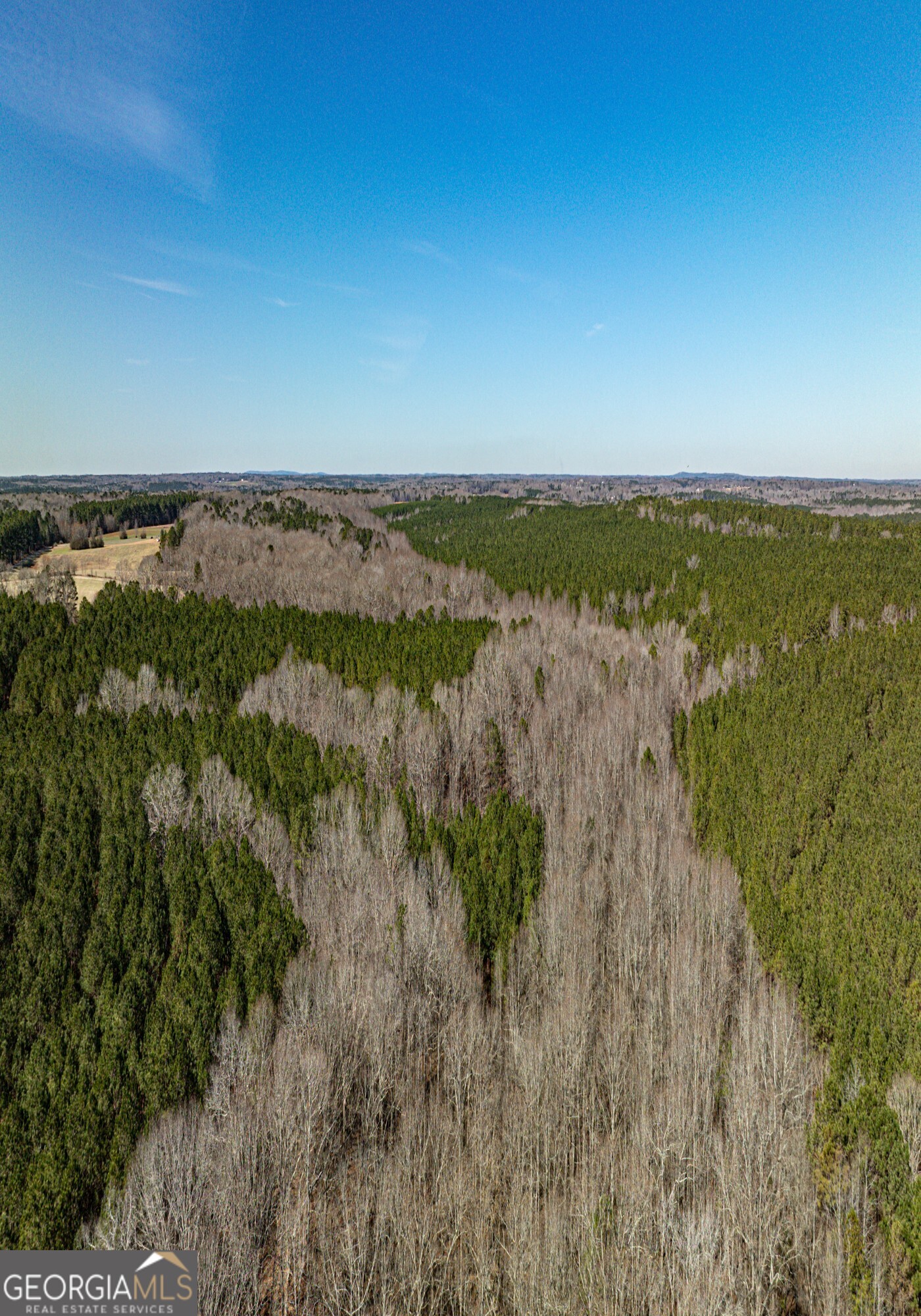0 Old Zebulon Road Forsyth, GA 31029 - Photo 27 of 60 a view of a lake with a city