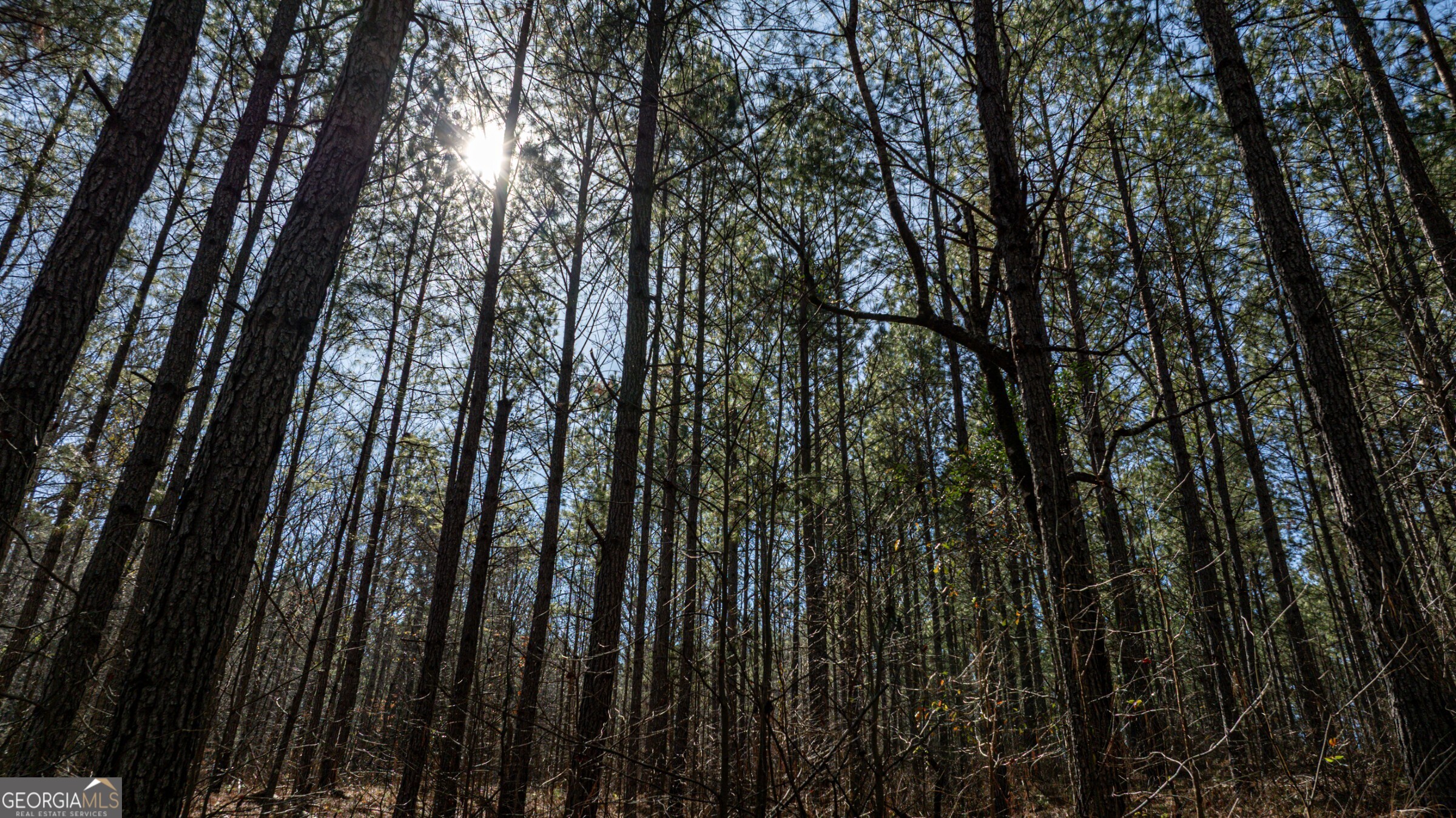 0 Old Zebulon Road Forsyth, GA 31029 - Photo 30 of 60